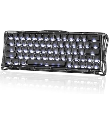 Amazon | 0.005mmラピッドトリガー 搭載 GravaStar Mercury V75 PRO